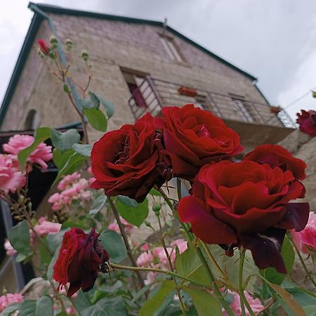 Bears And Berries Hotel Berd Buitenkant foto